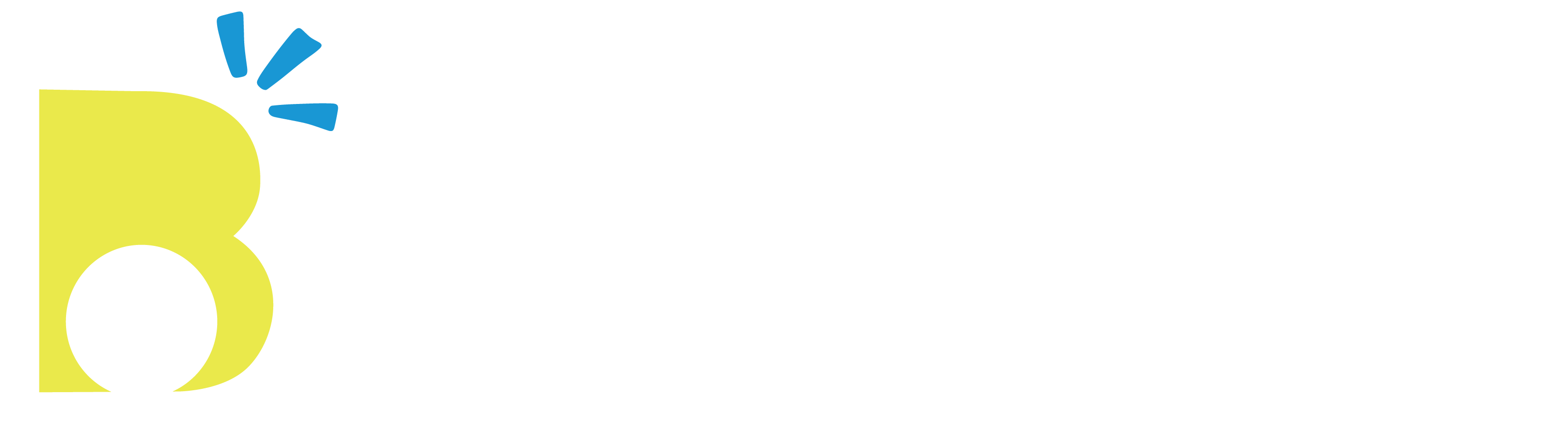 BrightsideMarketing-Logo2x